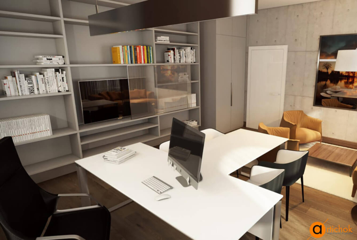 Проект Director's office